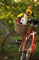 Bicycle With Full Basket Wall Mural