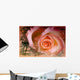 Rose Wall Mural