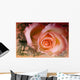Rose Wall Mural