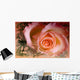 Rose Wall Mural