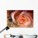 Rose Wall Mural