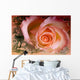 Rose Wall Mural