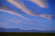 Wind Turbines, Pincher Creek, Alberta Wall Mural