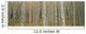 Aspen Grove In Fall, Kebler Pass, Colorado Wall Mural