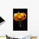Columbian Lily Wall Mural