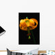 Columbian Lily Wall Mural