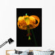 Columbian Lily Wall Mural
