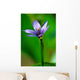 Blue Flower Wall Mural
