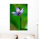 Blue Flower Wall Mural