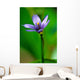 Blue Flower Wall Mural