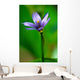 Blue Flower Wall Mural