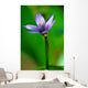 Blue Flower Wall Mural