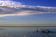 Goose In Ratray Marsh Into Lake Ontario, Mississauga, Ontario Wall Mural