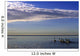 Goose In Ratray Marsh Into Lake Ontario, Mississauga, Ontario Wall Mural