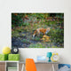 Red Fox Fairbank Provincial Park, Ontario Wall Mural