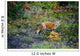 Red Fox Fairbank Provincial Park, Ontario Wall Mural