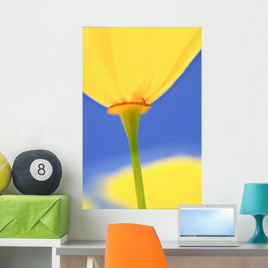 Wild Tulip Wall Mural