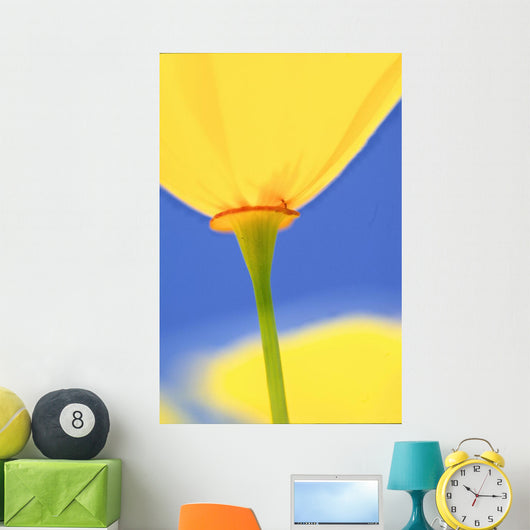 Wild Tulip Wall Mural