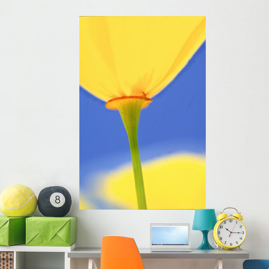 Wild Tulip Wall Mural
