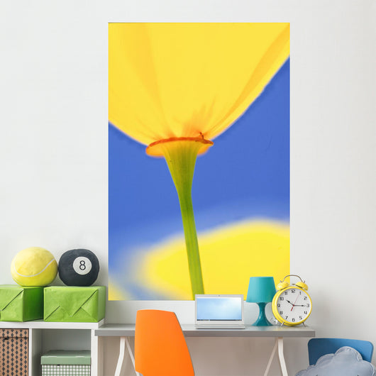 Wild Tulip Wall Mural