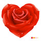 Red Rose Shape Heart