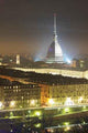 Torino Wall Decal Design 1