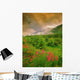 Fv1083, Darwin Wiggett Wall Mural