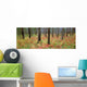 Fv1080, Darwin Wiggett Wall Mural