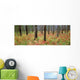 Fv1080, Darwin Wiggett Wall Mural