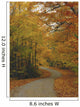 Fv0985, Darwin Wiggett Wall Mural