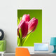 tulips on green Wall Mural