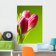 tulips on green Wall Mural