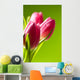 tulips on green Wall Mural