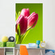 tulips on green Wall Mural