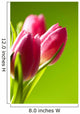 tulips on green Wall Mural
