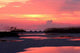 Late Evening Glow Wall Decal
