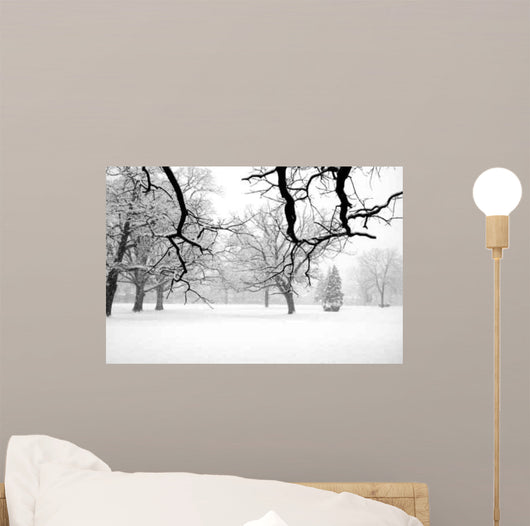 Winter Scene Wall Mural