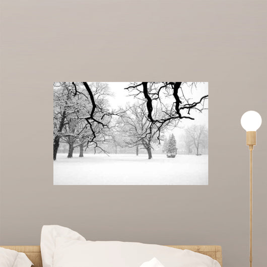 Winter Scene Wall Mural