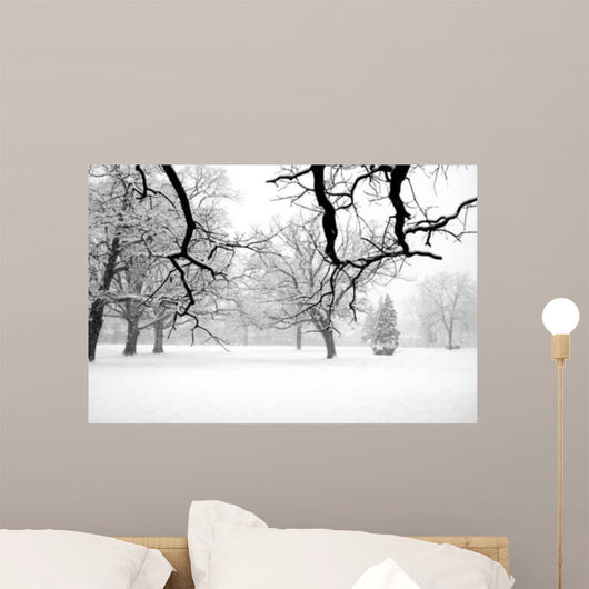 Winter Scene Wall Mural