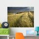 Vehicle Tracks Across Field And Red Deer River, Alberta Wall Mural