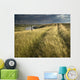 Vehicle Tracks Across Field And Red Deer River, Alberta Wall Mural