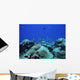 Deep Blue Wall Decal