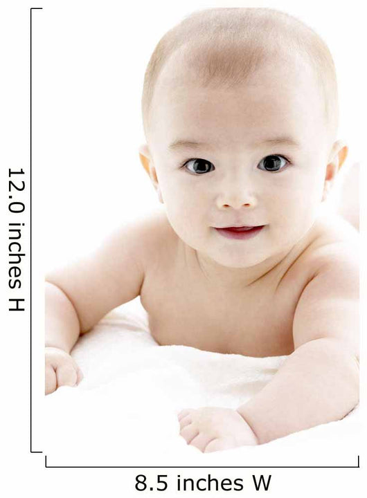 Portrait Baby Boy Wall Mural Wallmonkeys