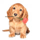 Valentine puppy Wall Decal