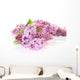 Lilcs Wall Decal