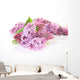Lilcs Wall Decal