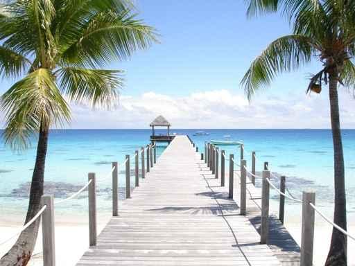 Ponton Fakarava Wall Decal