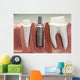 Dental Implant Model Wall Mural