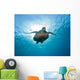 Turtle Wall Mural