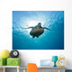 Turtle Wall Mural